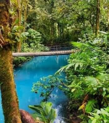 Cabinas El Pilon Rio Celeste Esterno foto