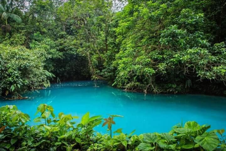 Cabinas El Pilon Rio Celeste Esterno foto