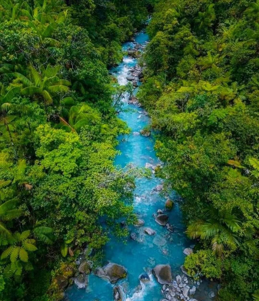 Cabinas El Pilon Rio Celeste Esterno foto