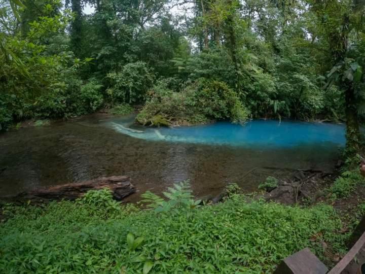 Cabinas El Pilon Rio Celeste Esterno foto
